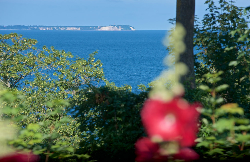 Kreidefelsenblick Rügen